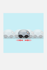 Pull Backs - Aussie Animals