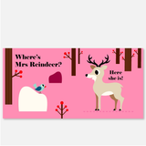 Where's Mr Polar Bear