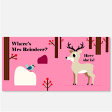Where's Mr Polar Bear