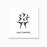 101 Collective Nouns