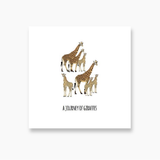 101 Collective Nouns