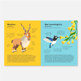 The Worlds Most Ridiculous Animals