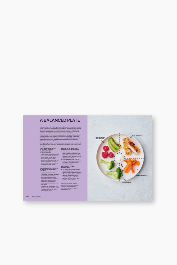 Baby Food Bible
