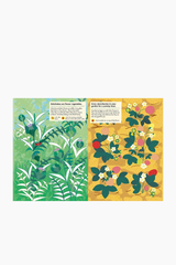 My Nature Sticker Book - Vegetable Garden