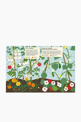 My Nature Sticker Book - Vegetable Garden