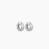 Turtle Hoops - Silver