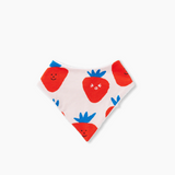Yo Yo Bib - Berry Cosy