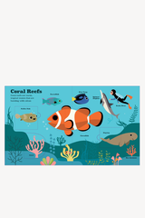 Oceans - A Pop-Up Book