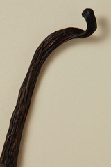 30ml Scented Perfume Oil - Carnal