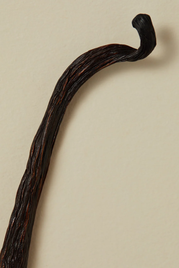 30ml Scented Perfume Oil - Carnal