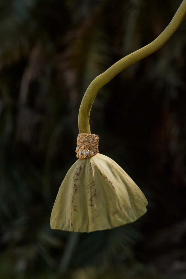 Cedar Ring