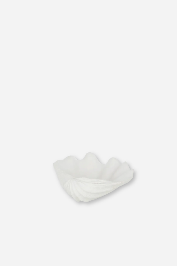 Clam Shell Bowl - White
