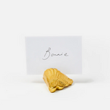 Card Holder - Conch Shell