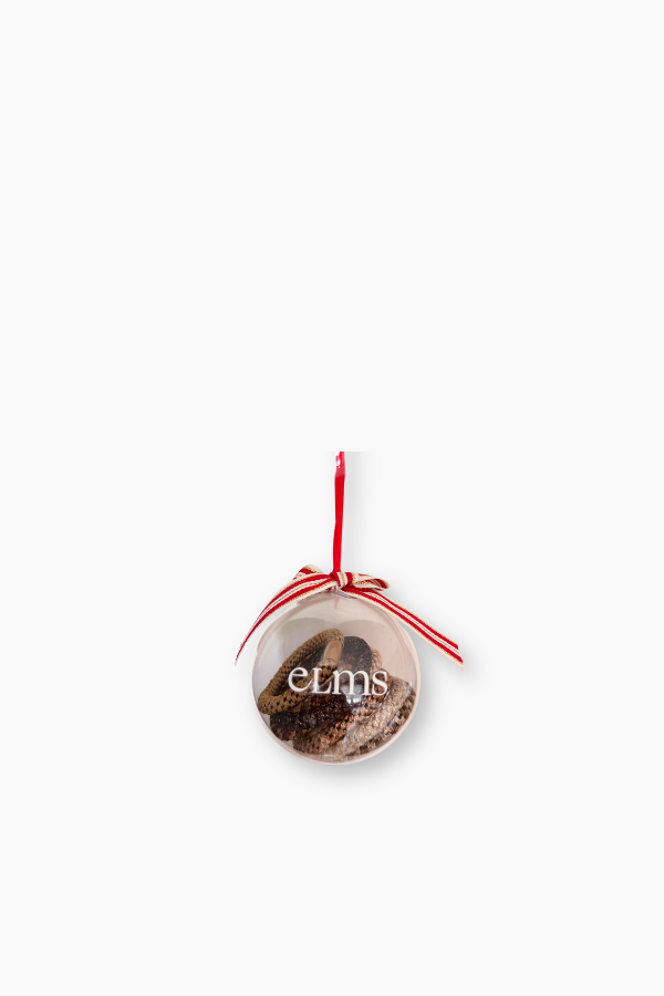Elms Bauble - 7 pack Hair Elastic / Acorn