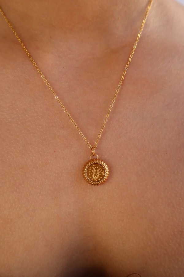 Zodiac Charm Necklace - Capricorn