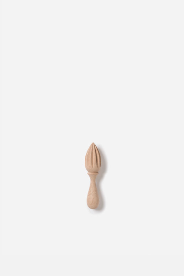 Lemon Juicer
