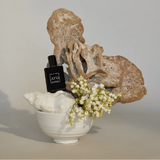 15ml Scented Perfume Oil - Sufi