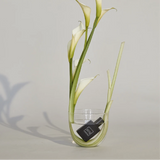 15ml Scented Perfume Oil - Vala