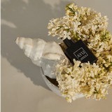 15ml Scented Perfume Oil - Rumi