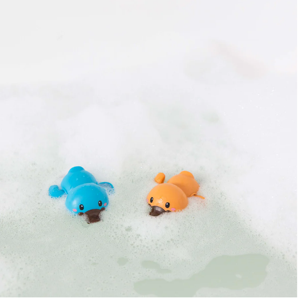 Bath Racers