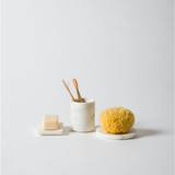 Marble Rectangular Soap Dish