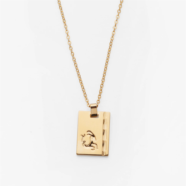 Gold Star Sign Necklace - Capricorn